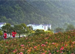 国产福利三区,探索中国影视产业的繁荣与魅力