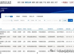 国产a网站,探索创新与发展的中国互联网新篇章