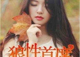 91夜夜欢国产,揭秘神秘夜生活文化盛宴