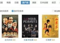 国产视频精品分类