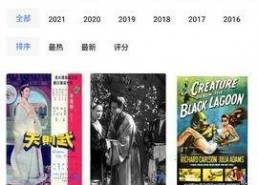 91在线视频国产,国产生态下的创新与崛起