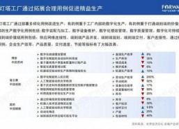 国产51页,揭秘中国科技发展的新篇章